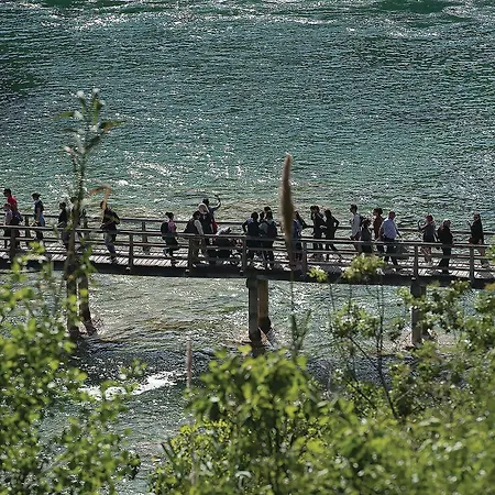 בית נופש Pet Friendly In