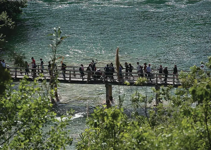 Feriehus Pet Friendly In